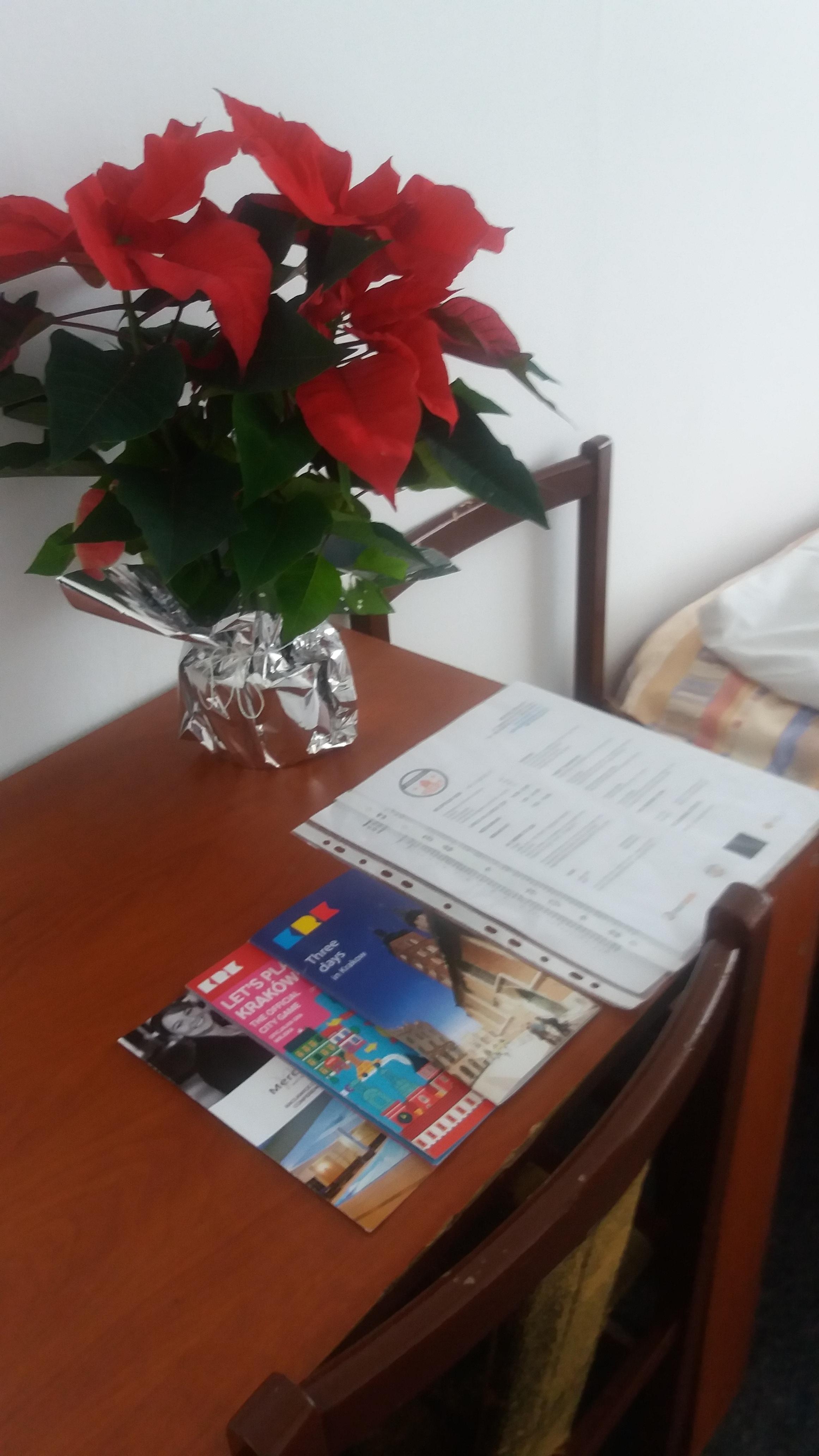 Start Hotel Krakau